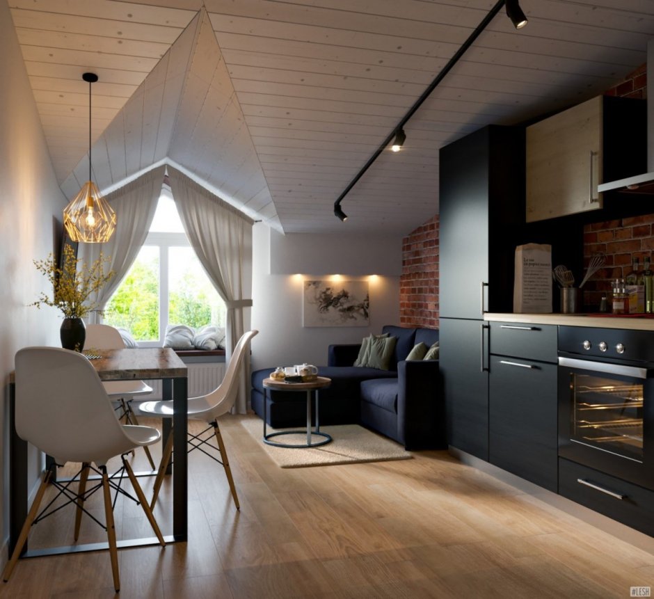 Кухня в гостиной со вторым светом