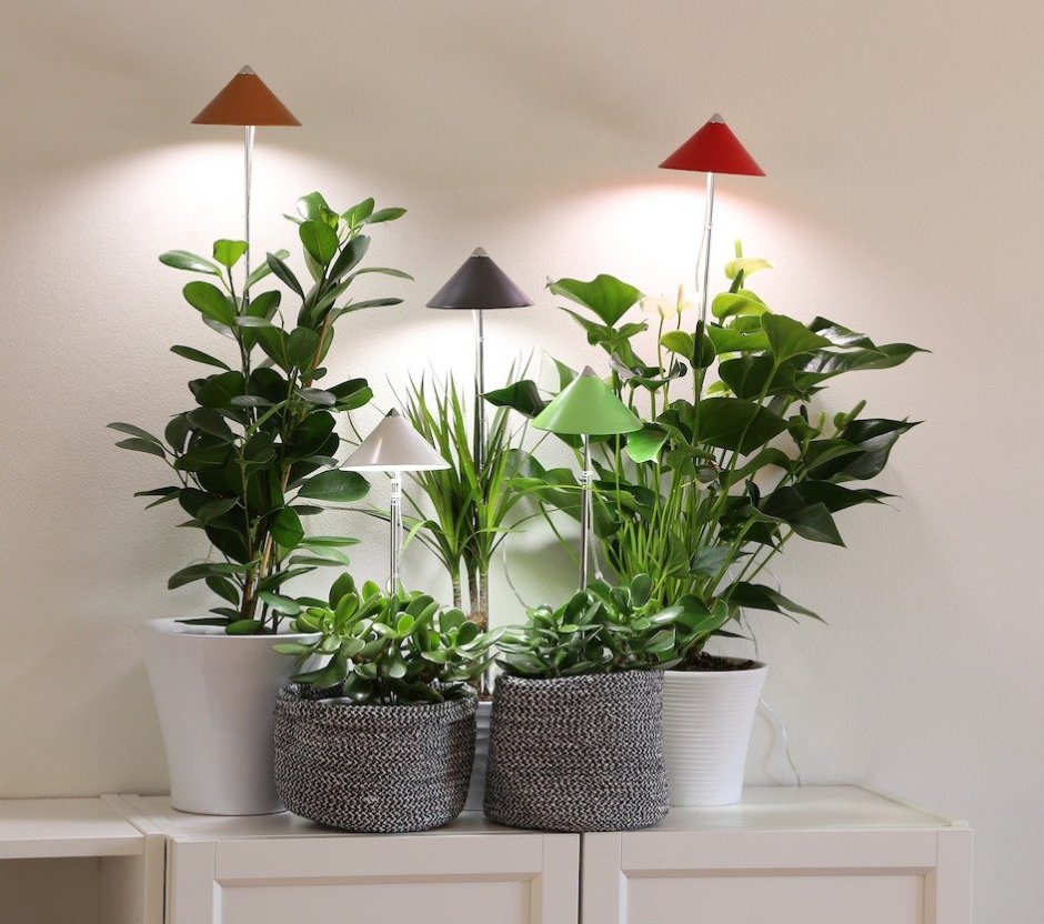 Подсветка для комнатных растений