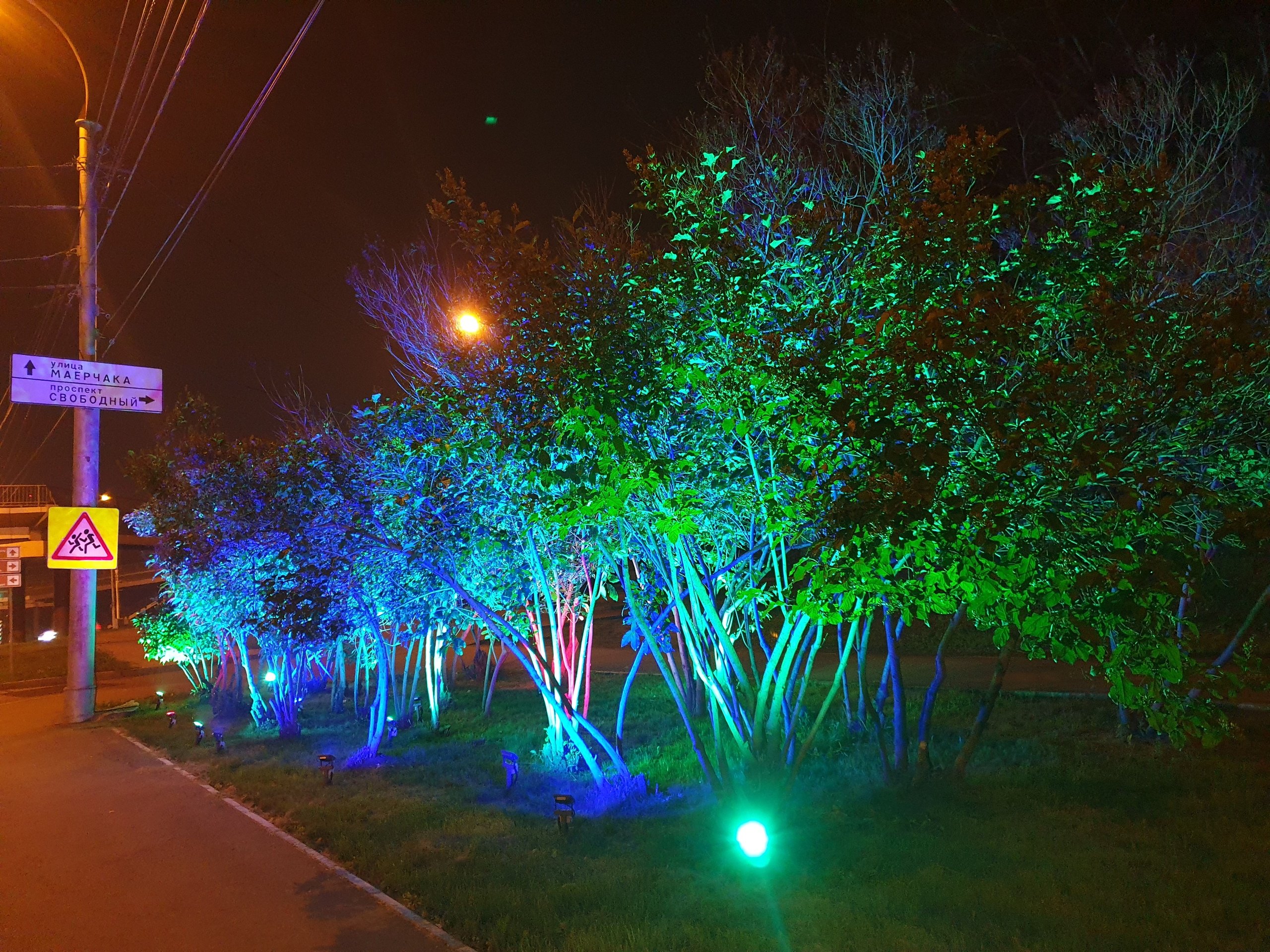 Подсветить зеленым. Биолюминесцентные деревья Дубай. Подсветка деревьев. Цветная подсветка деревьев. Ландшафтная подсветка деревьев.
