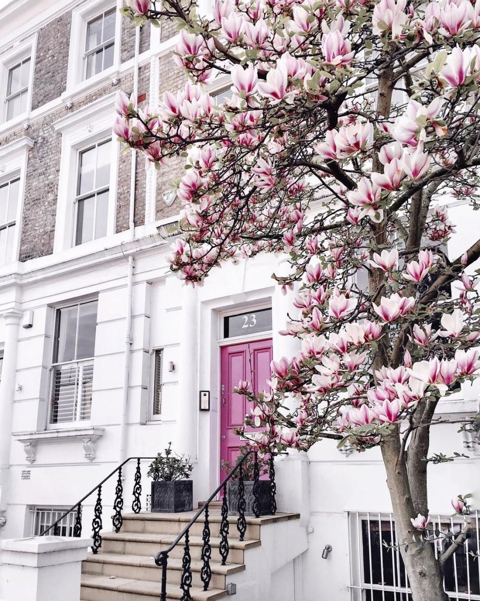 Джоанна Гейнс гостиная