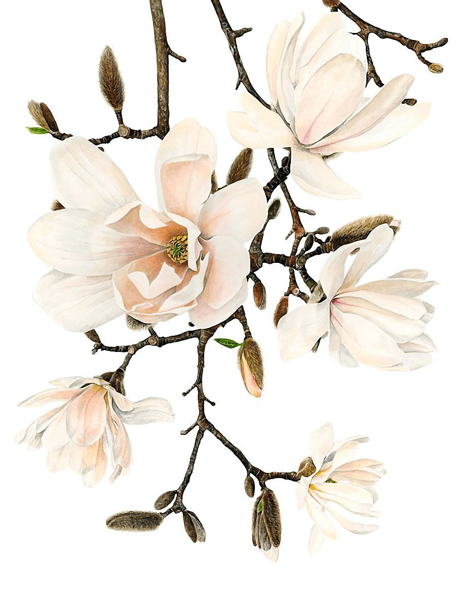 Эстетичный интерьер