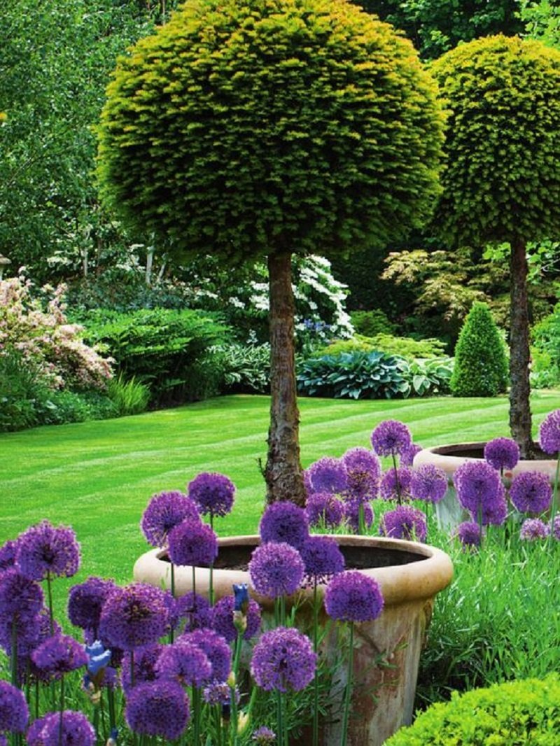Сады рододендронов в Англии