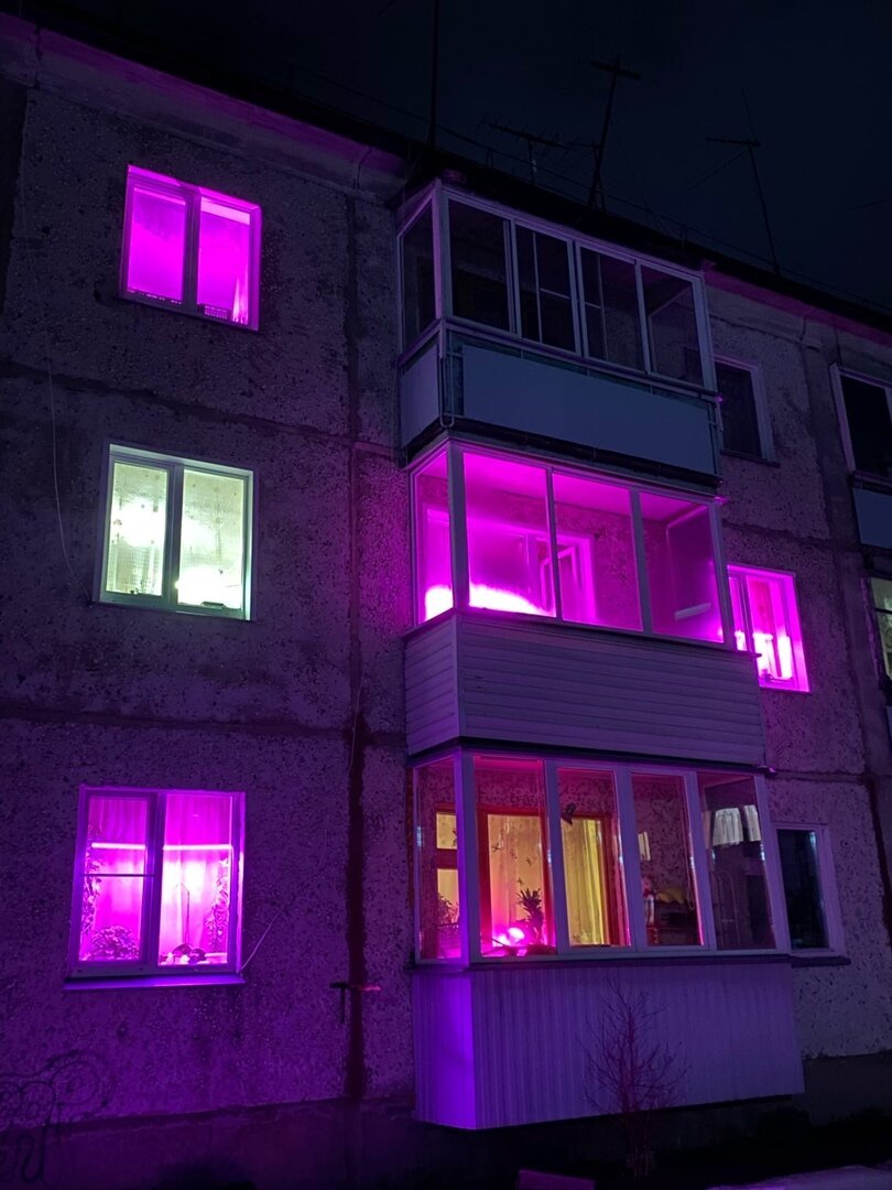 Фиолетовые окна в домах