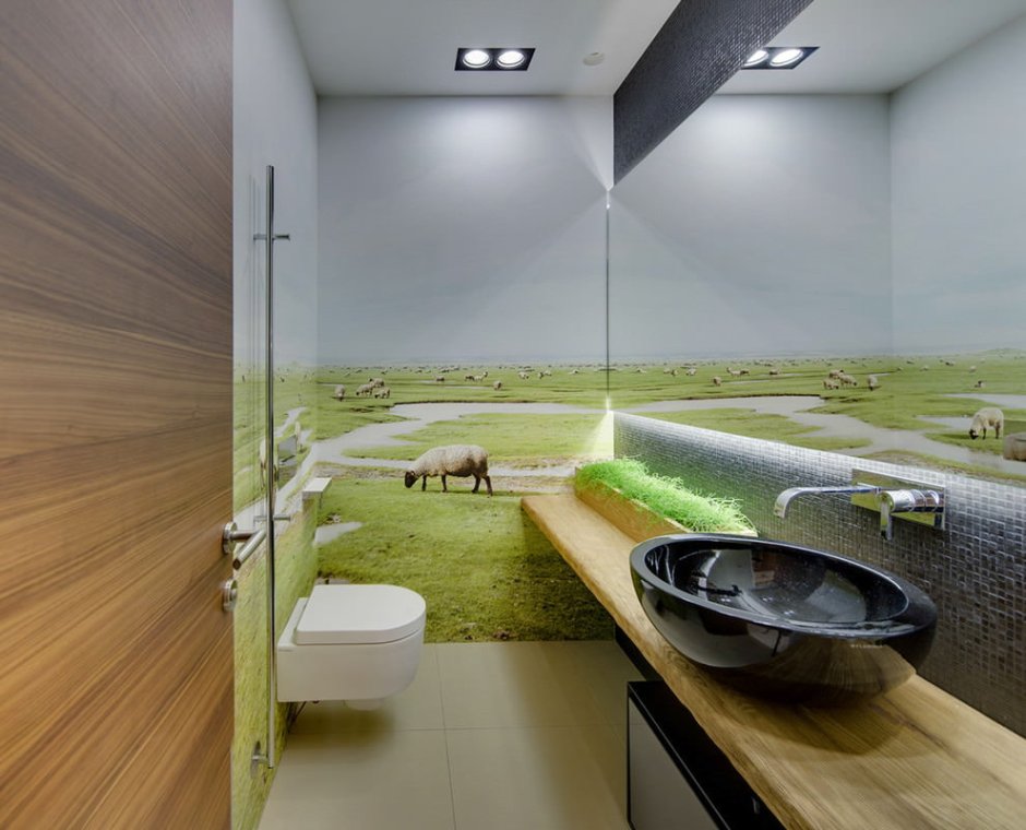 Прозрачный туалет в Токио