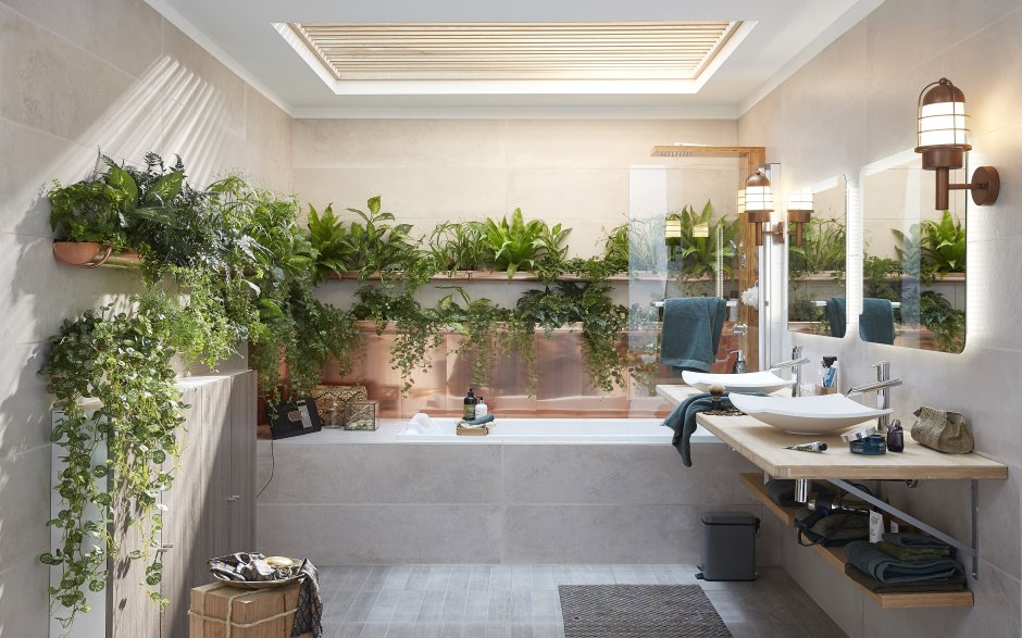Комнатные растения в ванной комнате
