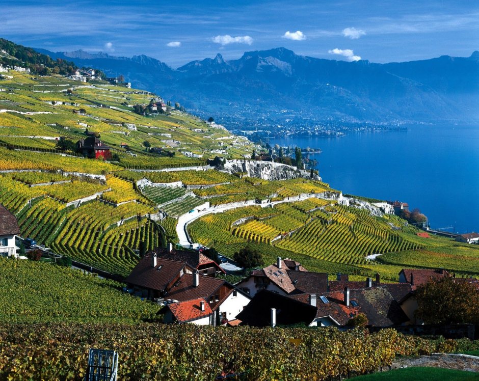 Террасные виноградники Лаво Швейцария
