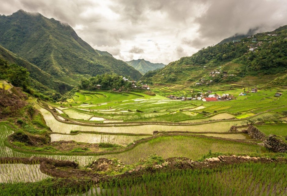 Рисовые террасы Филиппины ЮНЕСКО