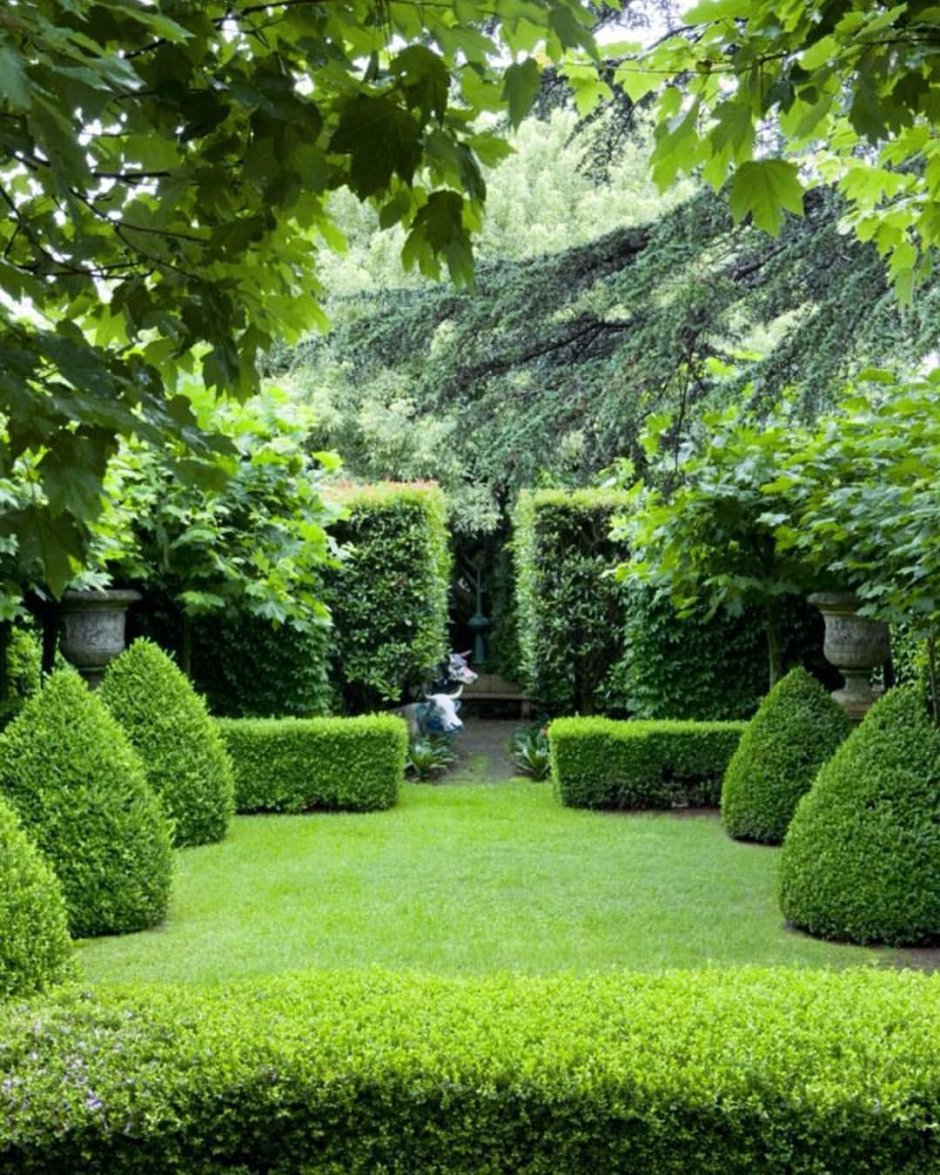 Самшит английский сад Мюнхен
