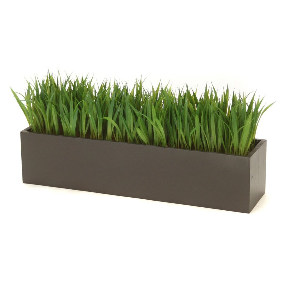 Искусственная трава Роял Тафт grass 6