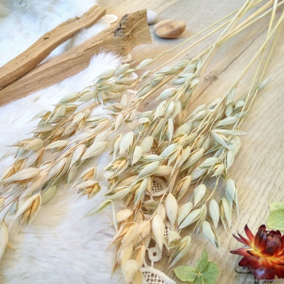 Ваза с пшеницей в интерьере