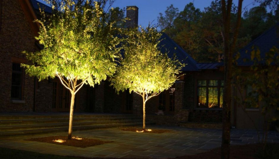 Подсветка деревьев снизу прожектор