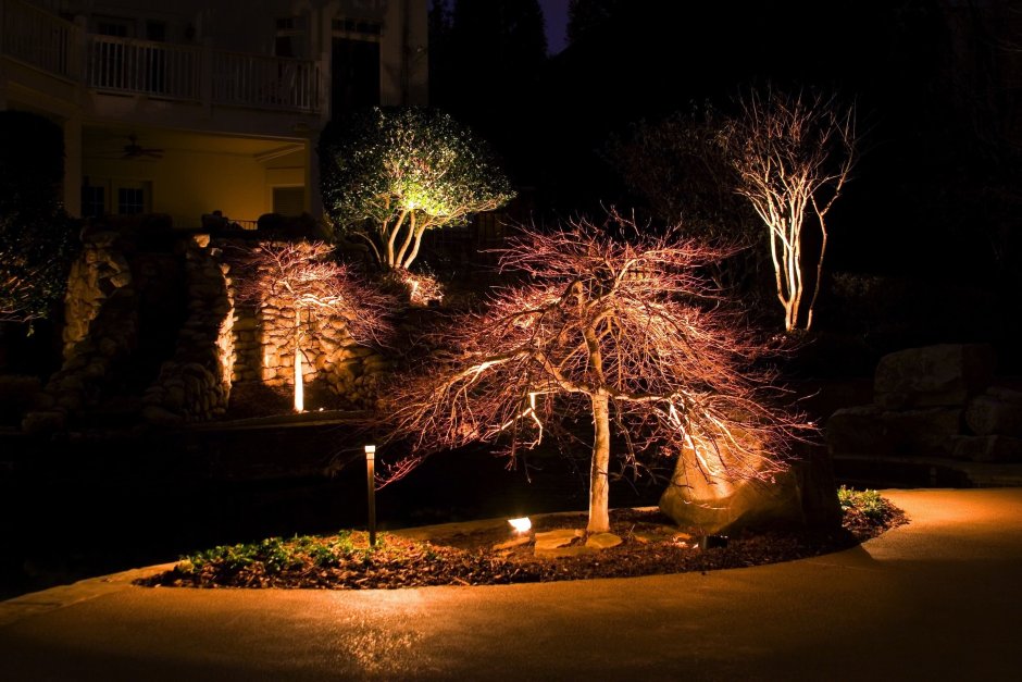Подсветка деревьев Arlight