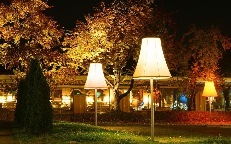 Подсветка деревьев в парке