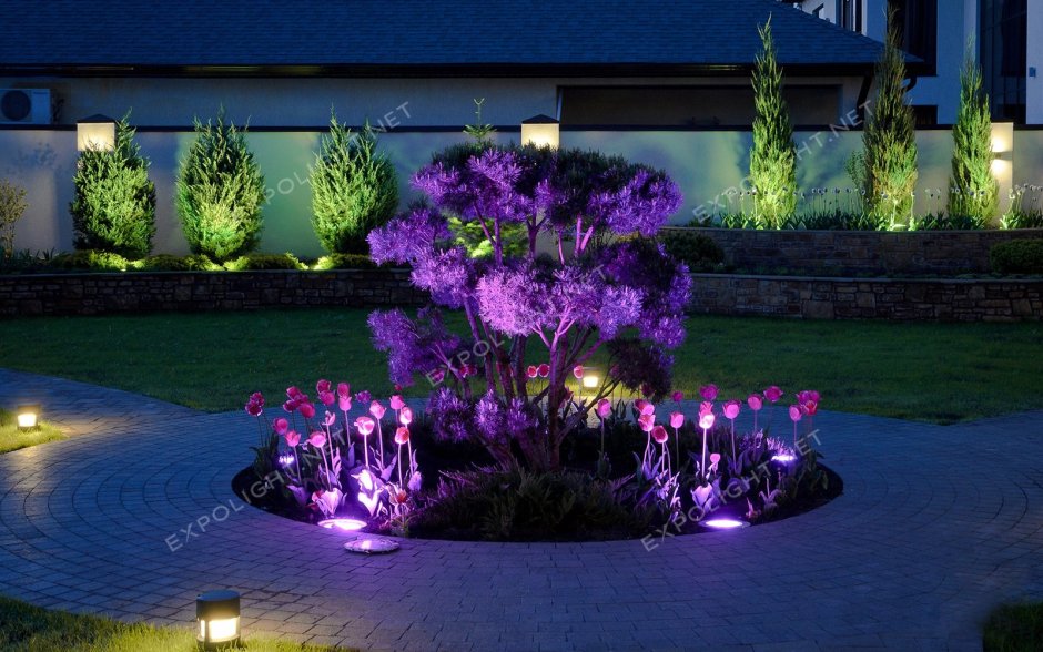 Декоративная подсветка растений в саду