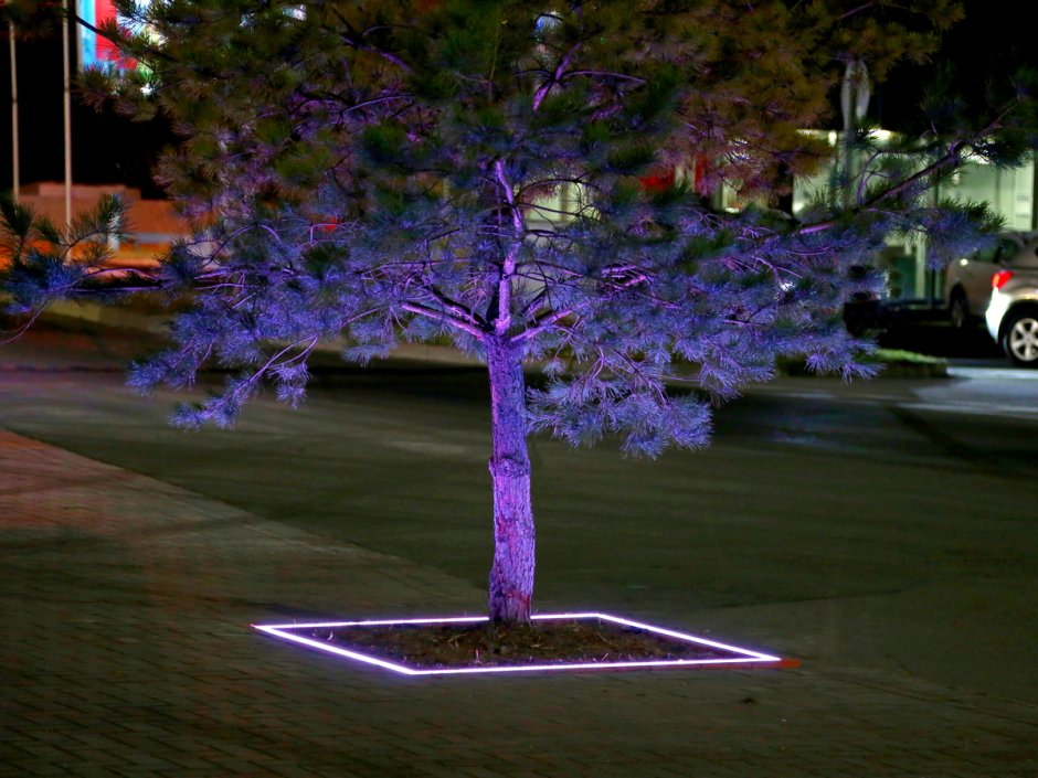 Подсветка деревьев Rexant Orion