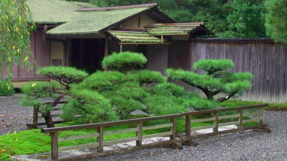 Киотская форма ниваки