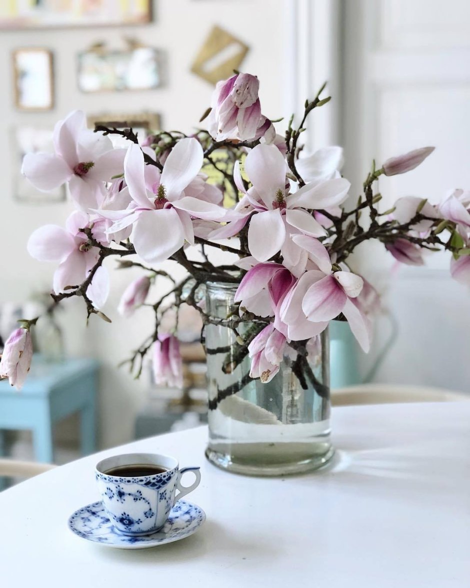 Ветка магнолии в вазе