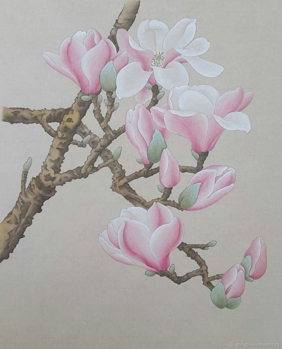 Обои Магнолия