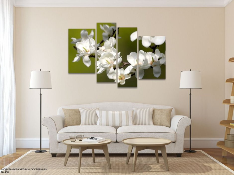 Ветка магнолии