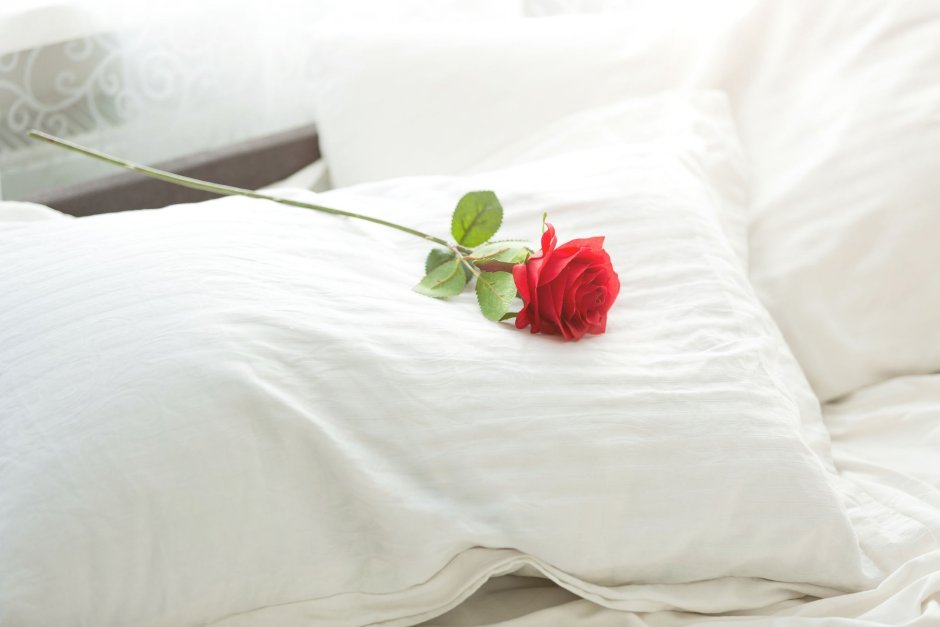 Букет роз на подушке