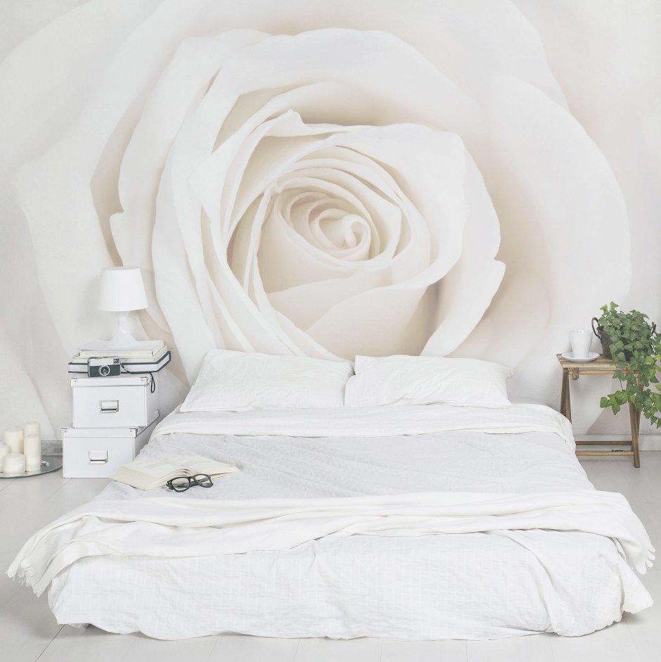 Фотообои белые розы в интерьере
