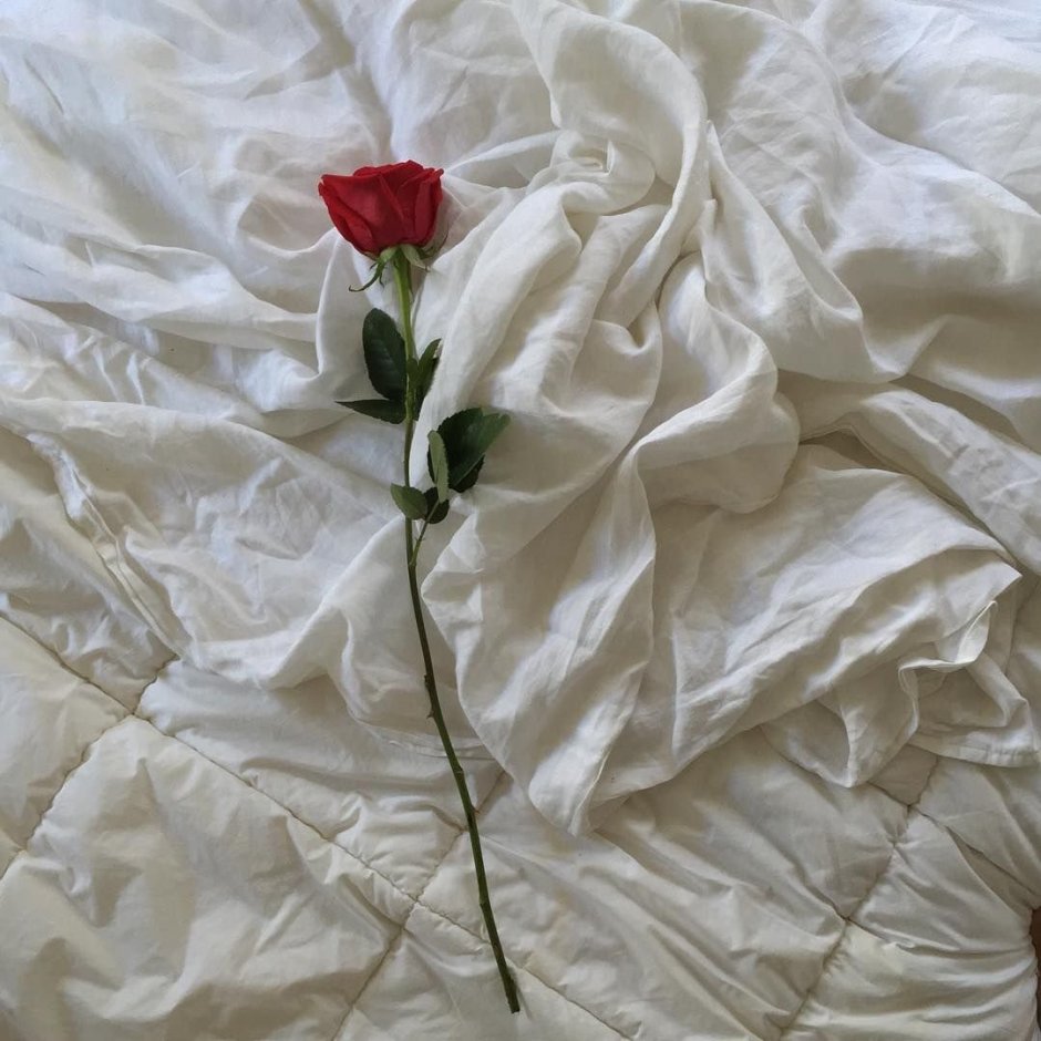 Роза на простыне