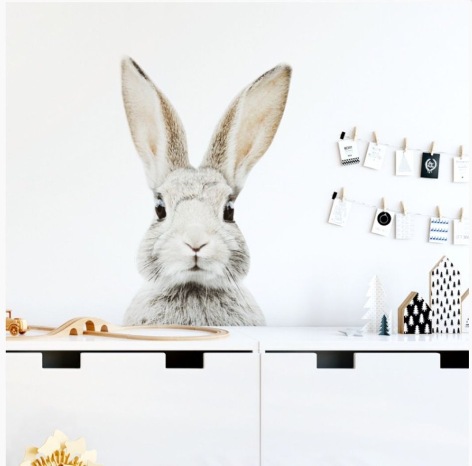 Картины кролики в интерьере