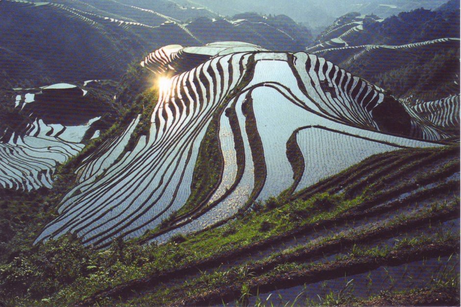Рисовые поля Банау Филиппины