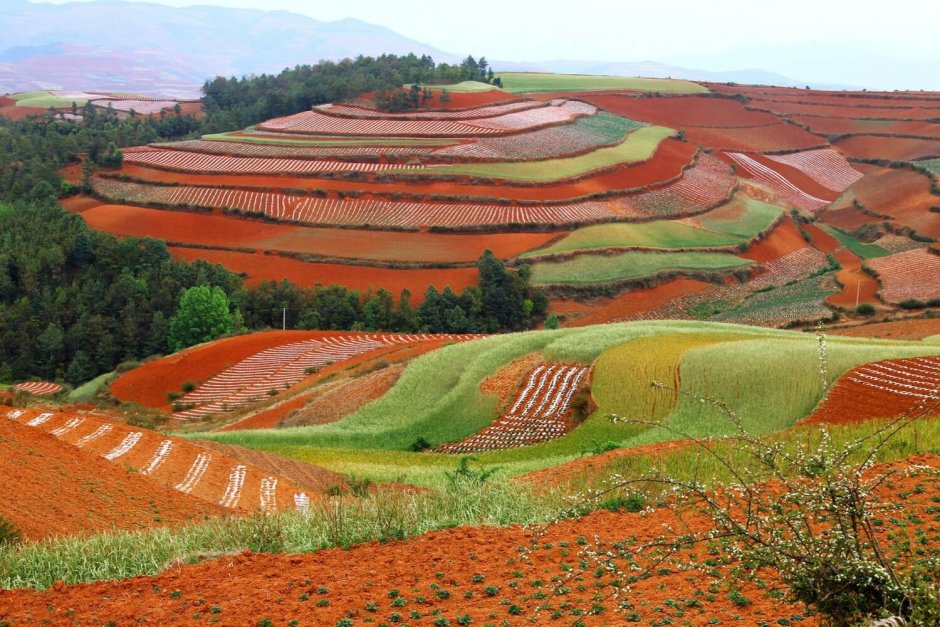 Красные земли Дончуань Китай