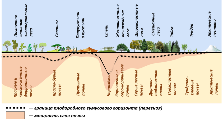 Почвы природных зон земли
