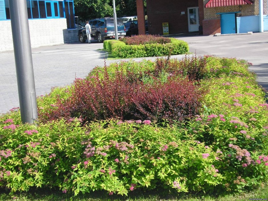 Спиря японккая лит принцесс массив