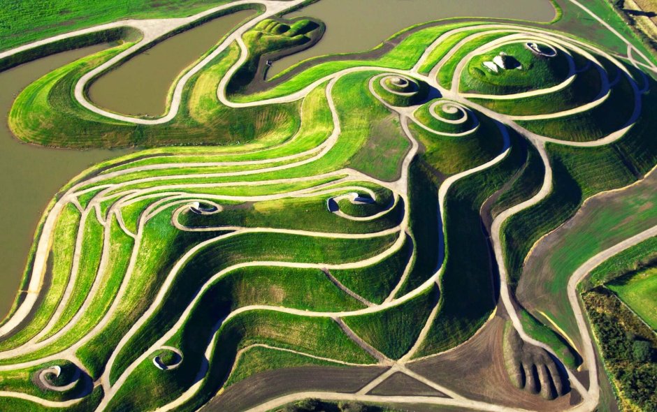 Epigenetic Landscape