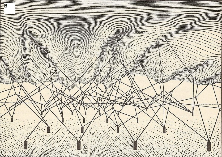 Эпигенетический ландшафт Уоддингтона
