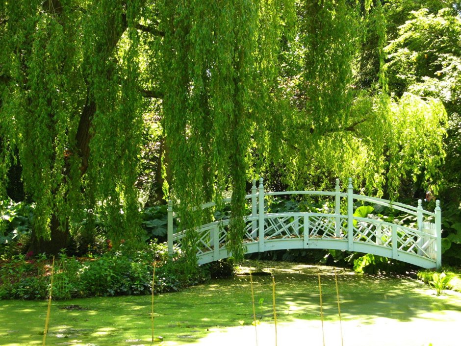 Англия парк сад мостик