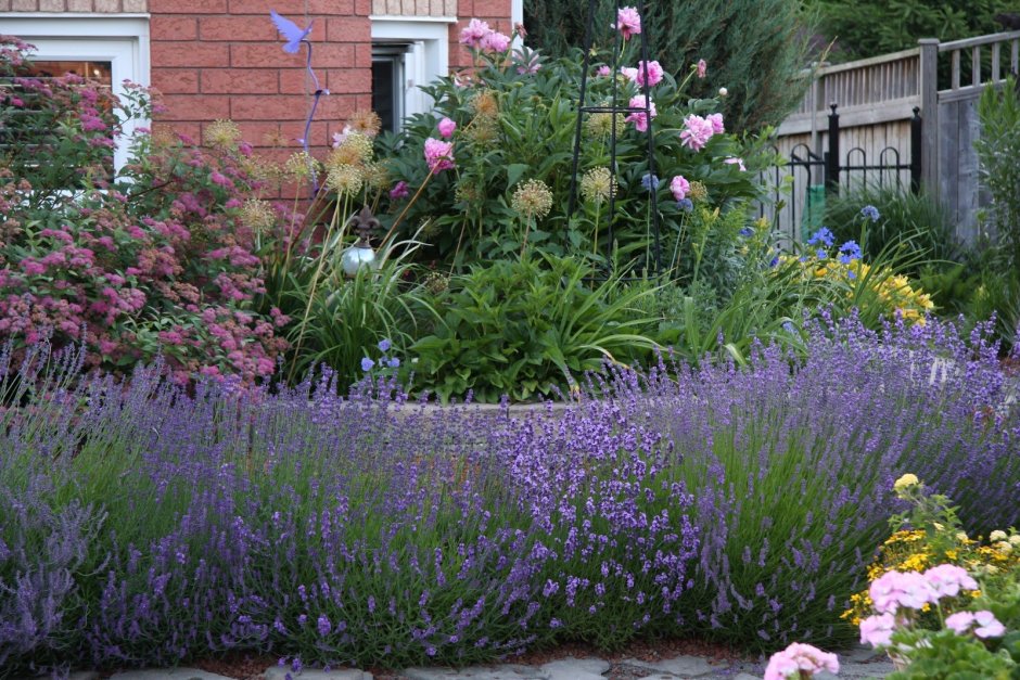 Монохромный фиолетовый сад