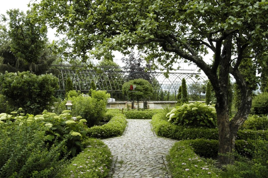 Дизайнерский сад Александра Гривко