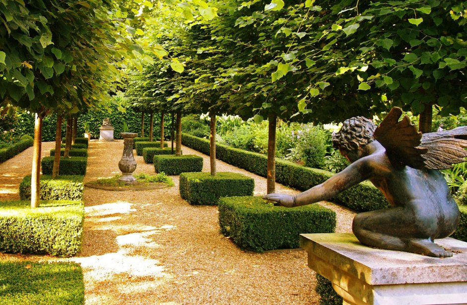 Аллея платаны Италия регулярный сад