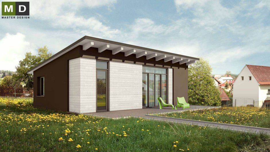 Флэт Хаус с односкатной крышей