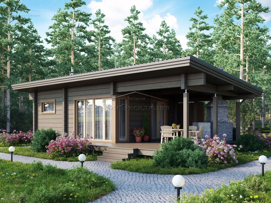 Тини Хаус с односкатной крышей