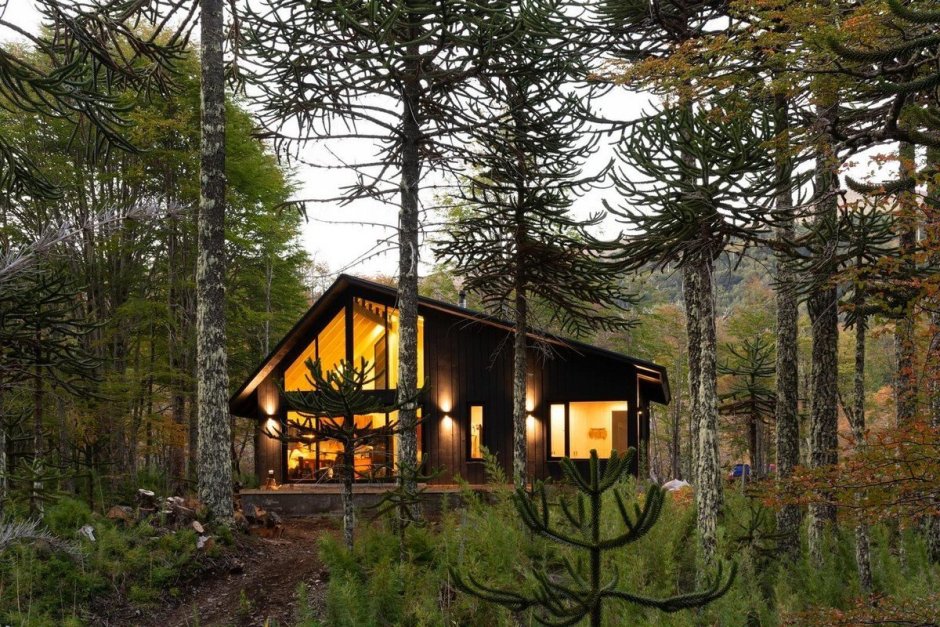 Загородный домик в лесу