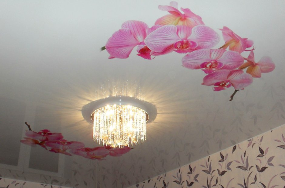 Натяжной потолок розовый с орхидеей