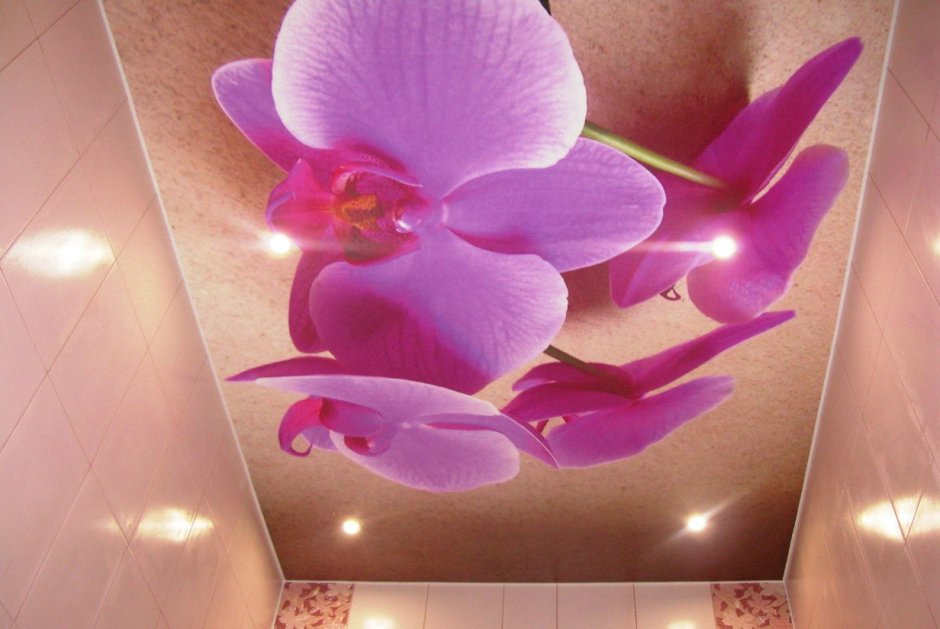 Подвесные потолки с орхидеями