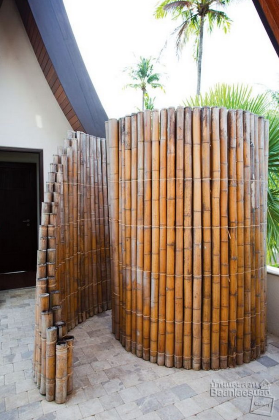 Guadua Bamboo
