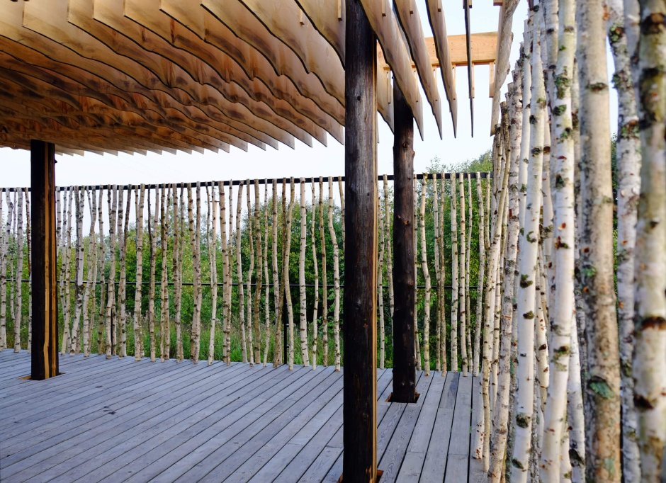 Забор из бамбука рулонный