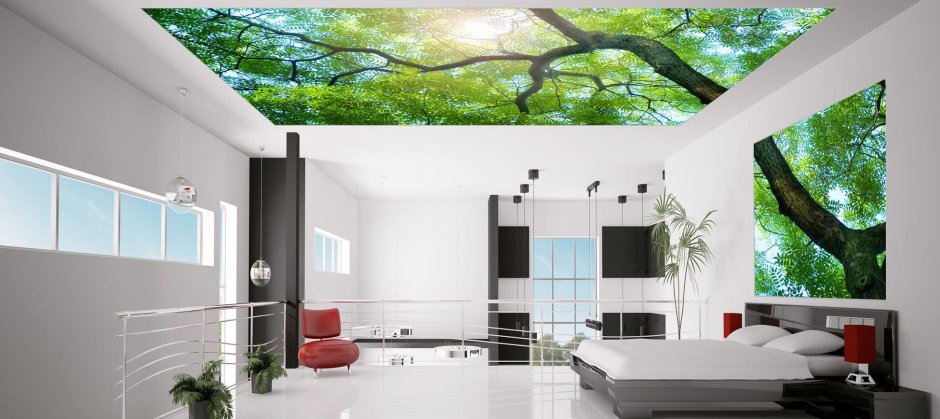 Зелень на потолке фотопечать