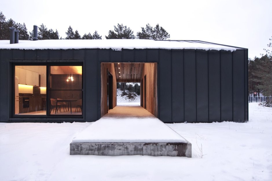 Домик в скандинавском стиле с гаражом