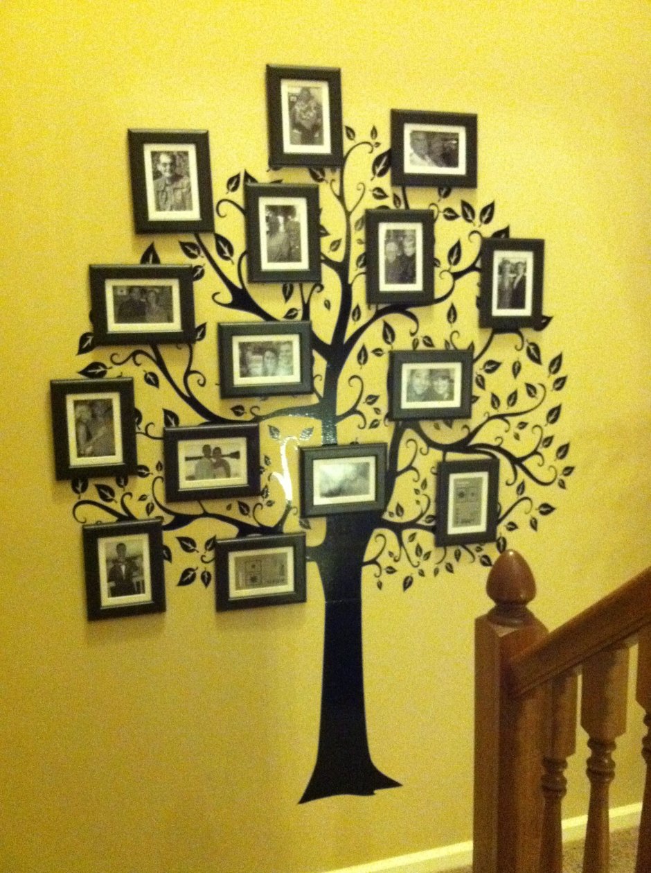 Дерево с фотографиями на стене