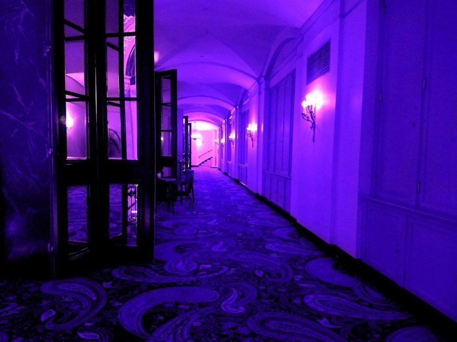 Фиолетовое помещение