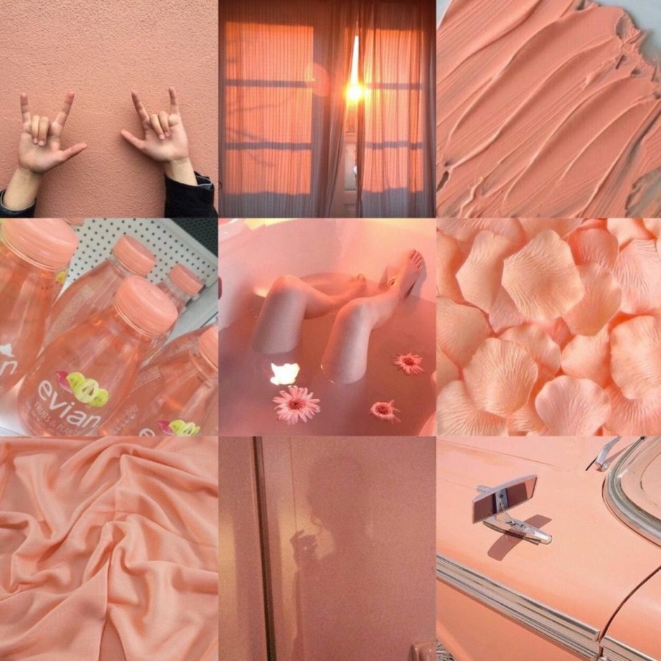 Оттенки розового цвета палитра пантон