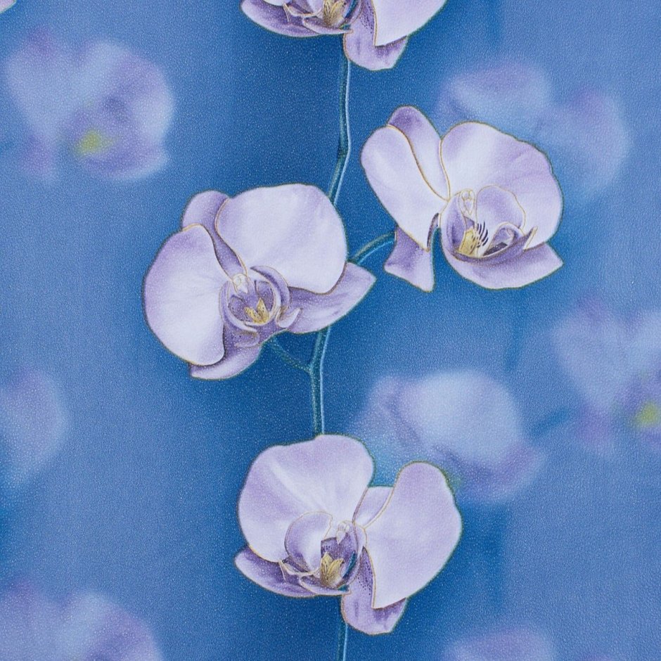 Орхидея Леруа Мерлен голубая